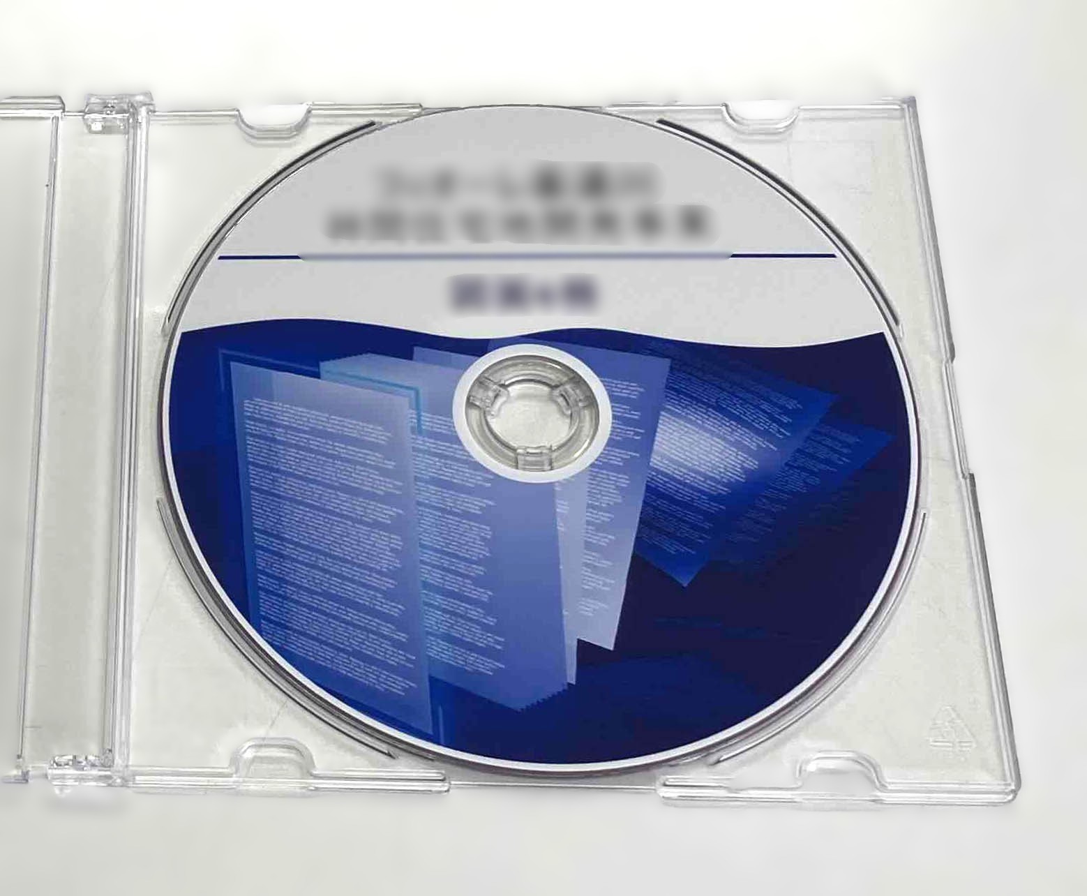 納品メディア