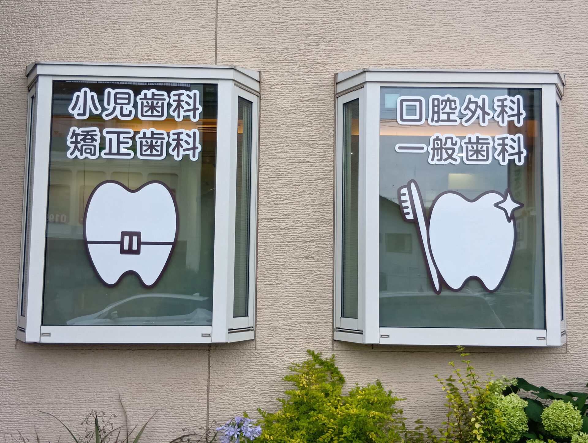 窓ガラス用シート①ec
